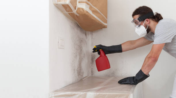 Professional Mold Testing technician working in Carle Place, NY