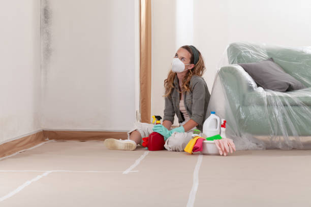 Reliable Mold Testing contractor in Carle Place, NY by WQB Mold Removal
